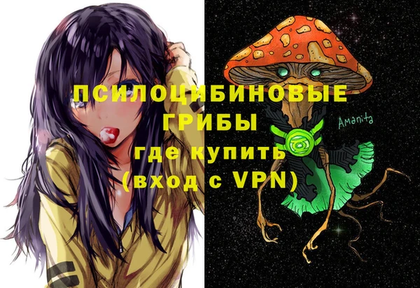 дживик Волоколамск