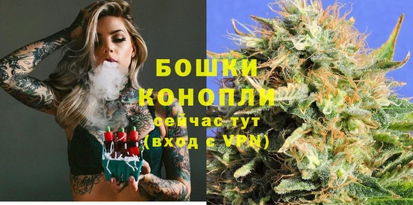 дживик Волоколамск